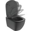 Подвесной унитаз Ideal Standard Tesi T0079V3 черный матовый