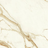 Керамогранит Marvel Calacatta Imperiale 120x120 Matt