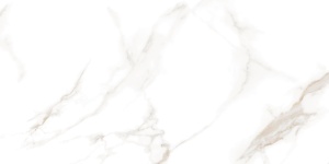 Керамогранит Statuario Vivian Glossy 60*120