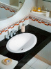 Раковина, Villeroy&Boch, ширина, мм-505, глубина, мм-360, высота, мм-170, тип установки-встраиваемый сверху, отверстия для смесителя-отсутствуют.