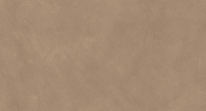 Керамогранит Boost Natural Coral 60x120