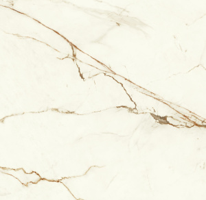 Керамогранит Marvel Calacatta Imperiale 120x120 Matt