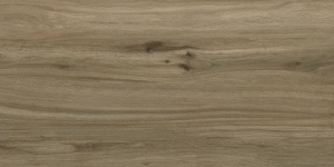 Керамогранит Amazonian Cocoa Glow 60*120