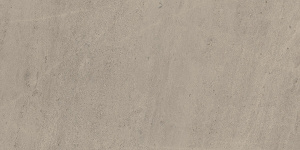 Керамогранит W. Silver Grey Rett 60*120