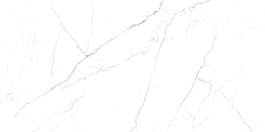 Керамогранит G391 Neiva Elegant MR 60*120