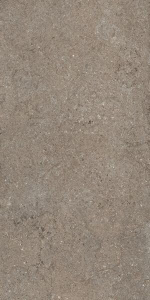 Керамогранит Дискавер Дезерт Натуральный 60*120